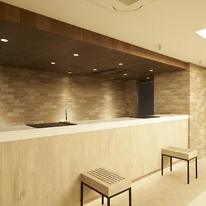 소테츠 프레사 인 긴자 산초메 3* 도쿄